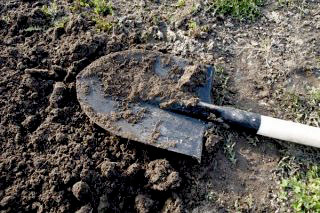 На Ужгородщині донька закопала померлу матір в саду