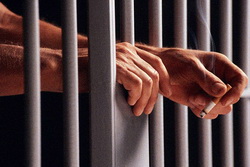 На Закарпатті тільки 4 спецприміщення для затриманих відповідають нормам законодавства