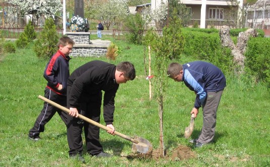 На Берегівщині кожен із 90 учнів школи висадив по дереву