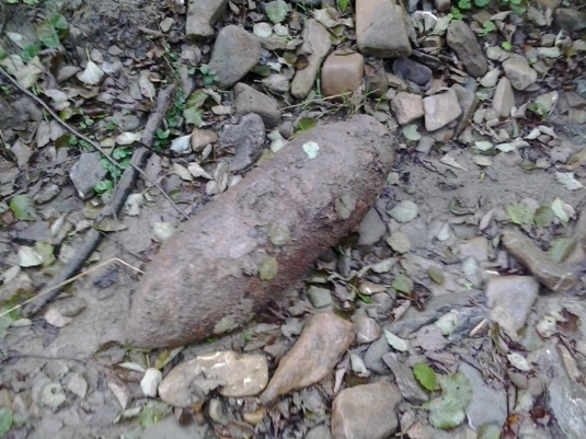 На Рахівщині знайшли авіаційну бомбу