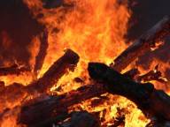 Через підпал згоріло 20 кубів деревини закарпатського лісництва