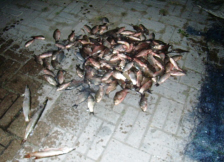 На Іршавщині працівники рибоохорони затримали агресивних браконьєрів (ФОТО)