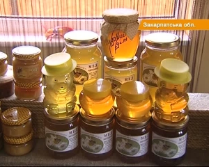 Закарпатські пасічники зібрали втричі менше меду, ніж зазвичай (ВІДЕО)