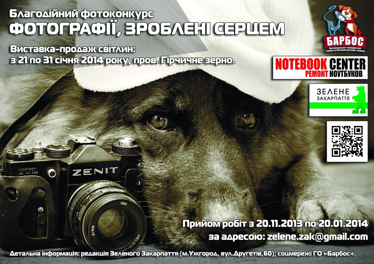 Зоозахисники та журналісти запрошують до участі в конкурсі "Фотографії, зроблені серцем"