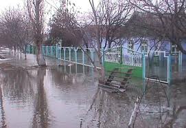 Через захаращений потічок в селі Модьоровш затопило 5 дворів та 11 присадибних ділянок