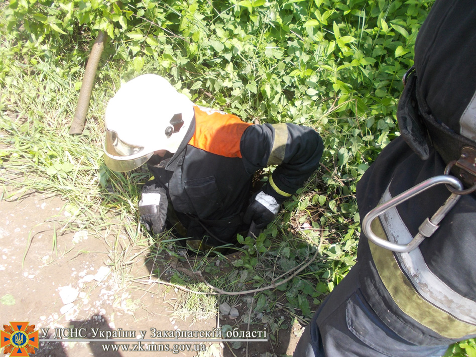 В Ужгороді рятувальники визволили песика з каналізаційного колодязя (ФОТО, ВІДЕО)