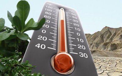 За останні роки на Закарпатті потеплішало на 1,7 градуса