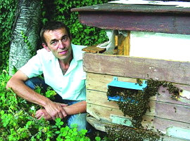 Ужгородці тримають бджіл навіть на балконах і дахах