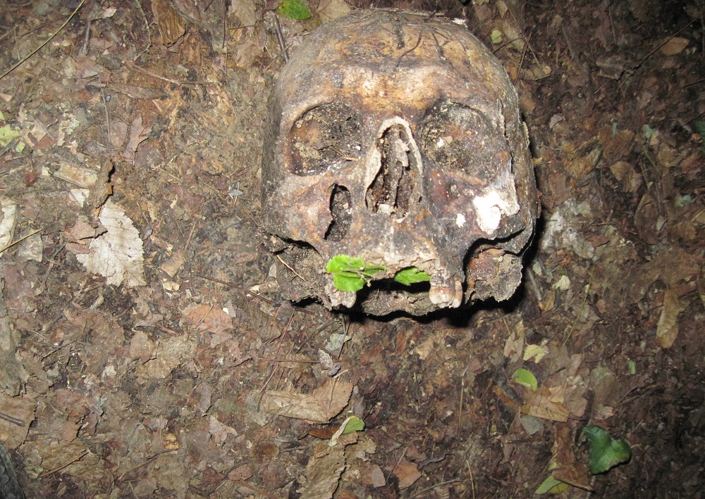 Мукачівська міліція розповіла про обставини знайдення скелетованого людського черепа (ФОТО)