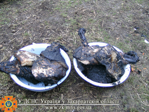 Внаслідок пожежі в коптильні на Виноградівщині знищено 50 кг м
