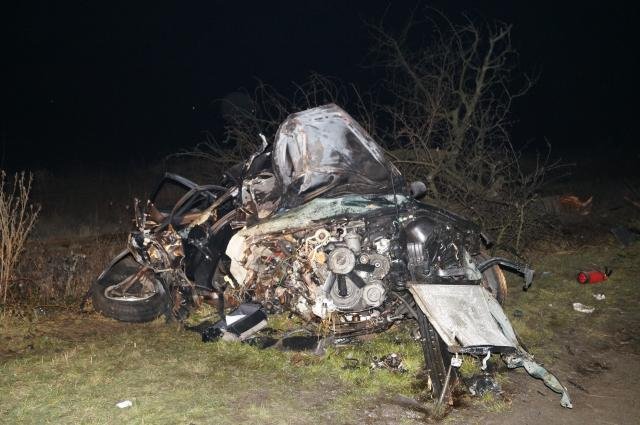 На Іршавщині BMW врізалася в дерево та загорілася. Загинули двоє людей (ФОТО)