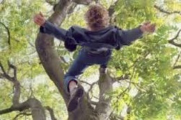 На Виноградівщині школяр упав з дерева і опинився в реанімації
