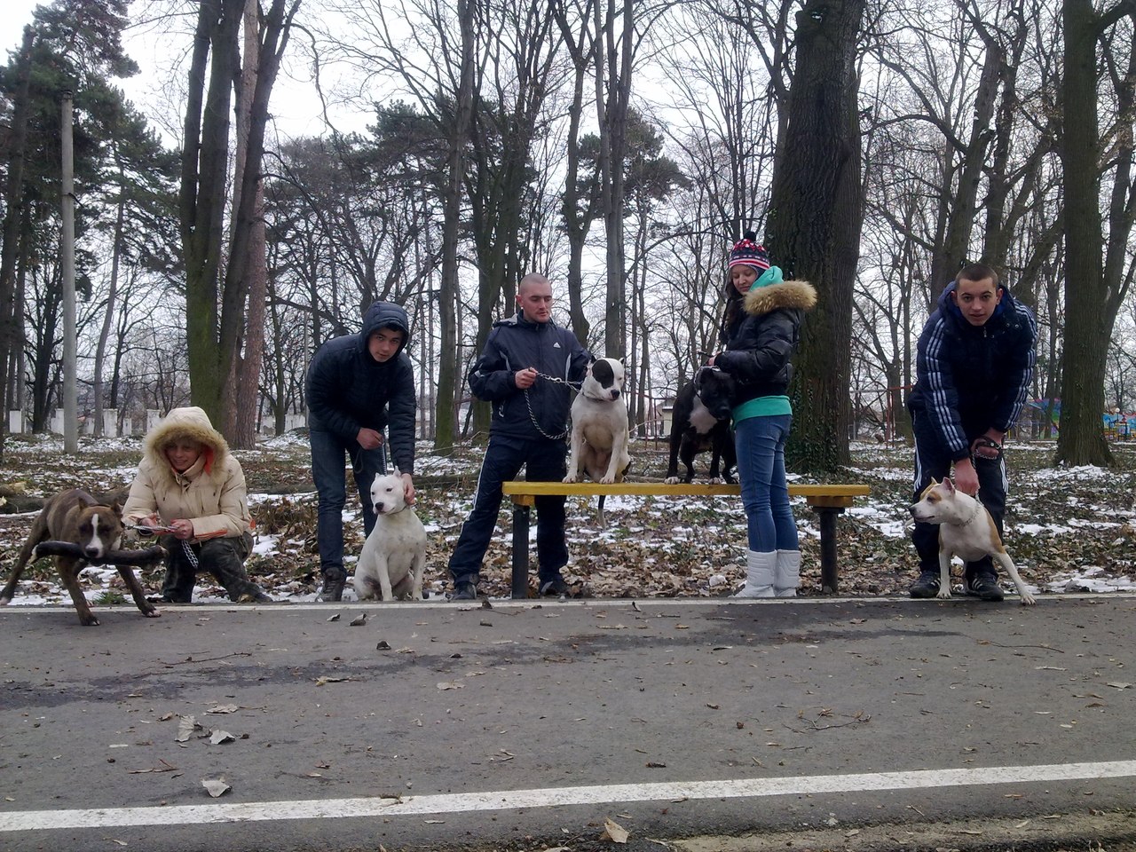 В Ужгороді власники собак-атлетів об