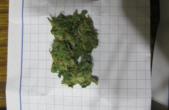 19-річного ужгородця затримали на продажі марихуани (ФОТО)