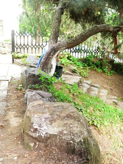 В Ужгородському альпінарії мистецька та наукова еліта розпочала очистку каміння й дерев від вапна (ФОТО)