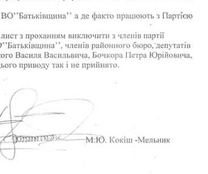 Кандидата на голову Рахівської РДА від "губернатора" Лунченка просили виключити з "Батьківщини" за співпрацю з "регіоналами" (ДОКУМЕНТИ)