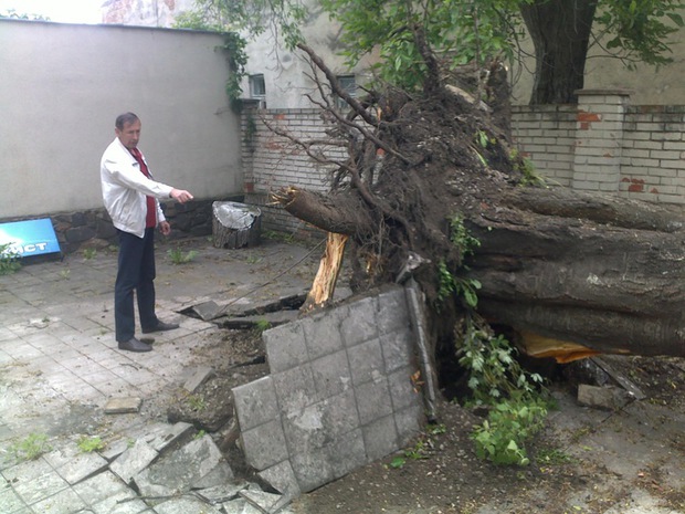 На вулицях Ужгорода лежать з десяток повалених буревієм дерев (ФОТО)