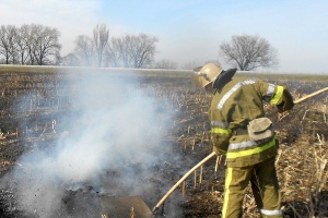 На Закарпатті впродовж доби рятувальники 8 разів ліквідовували загоряння сухої трави