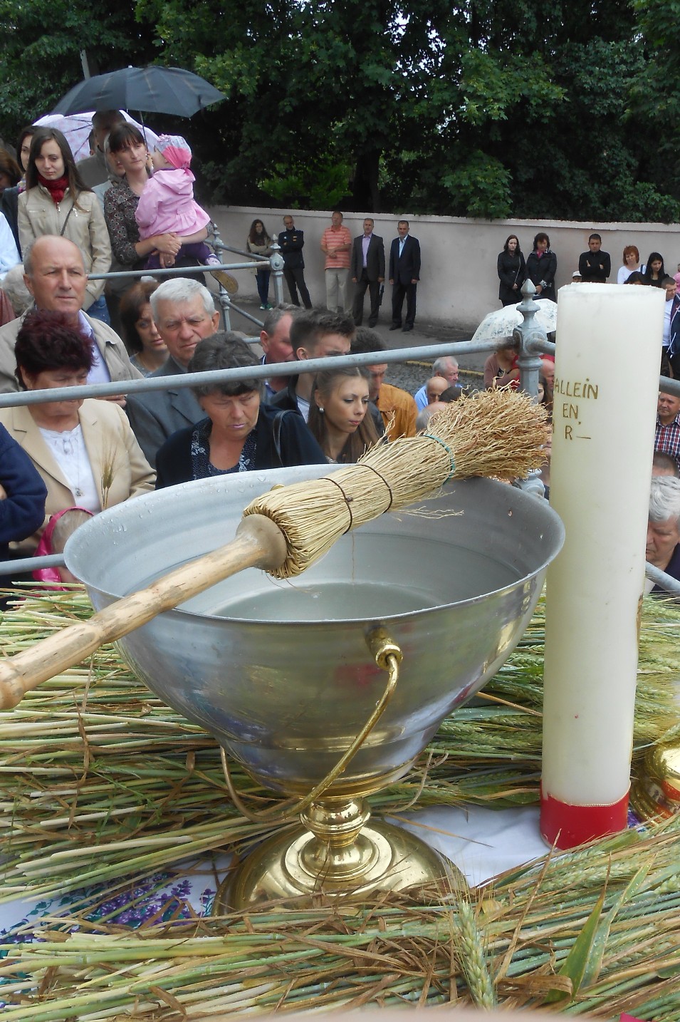 В Ужгороді відбулося освячення колосків молодої пшениці (ФОТО)