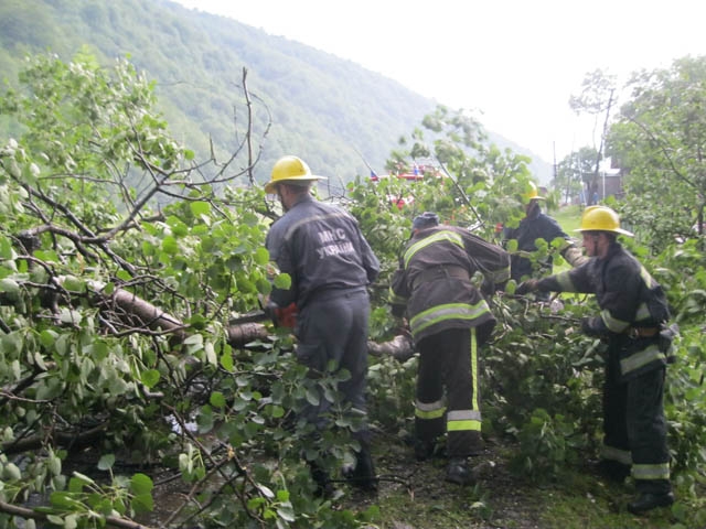 На Закарпатті рятувальники звільняли автошлях від повалених дерев, які повністю перекрили рух