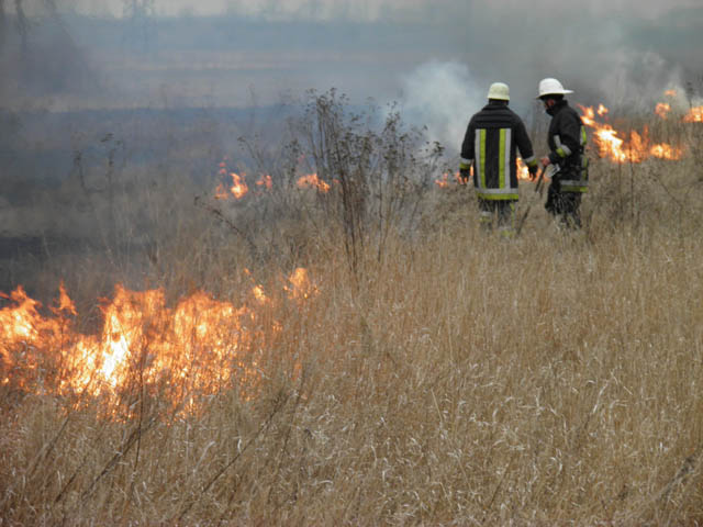 З початку року на Закарпатті ліквідували 365 пожеж в екосистемах 