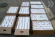Закарпатськими прикордонниками знайдено більше 10 тисяч пачок контрабандних сигарет