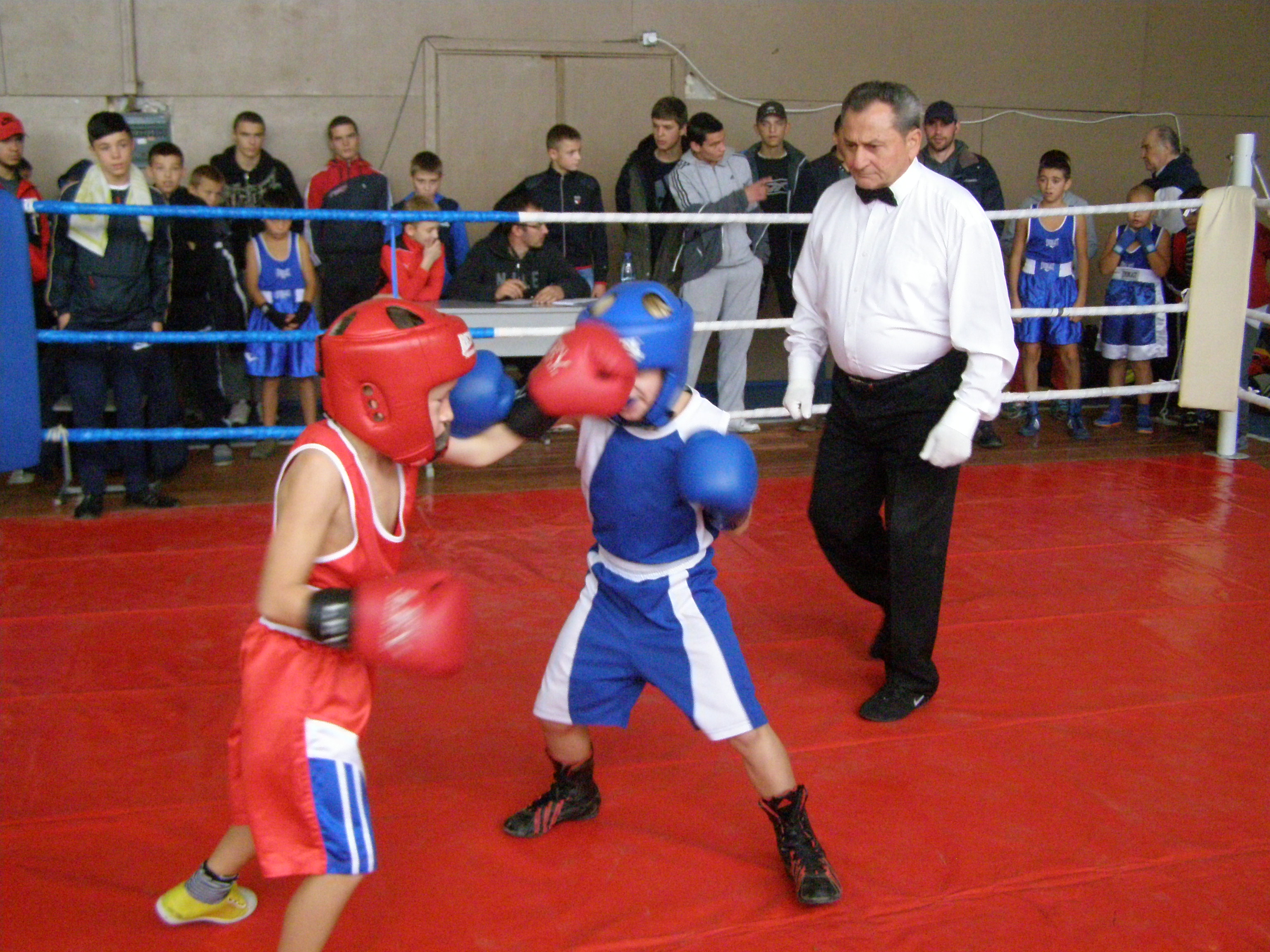 У Хусті проходить VII боксерський турнір пам’яті Володимира Тунаєва (ФОТО)