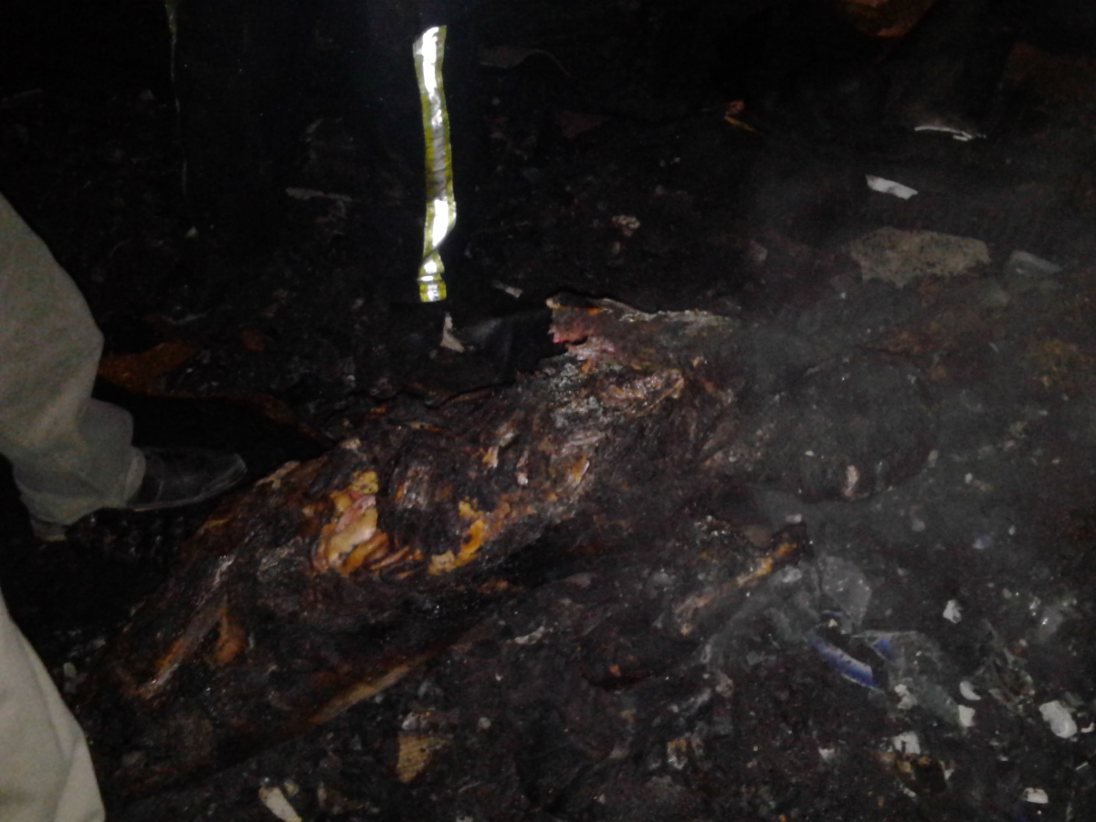 На місці пожежі у будинку у Виноградові знайшли труп пенсіонера (ФОТО)
