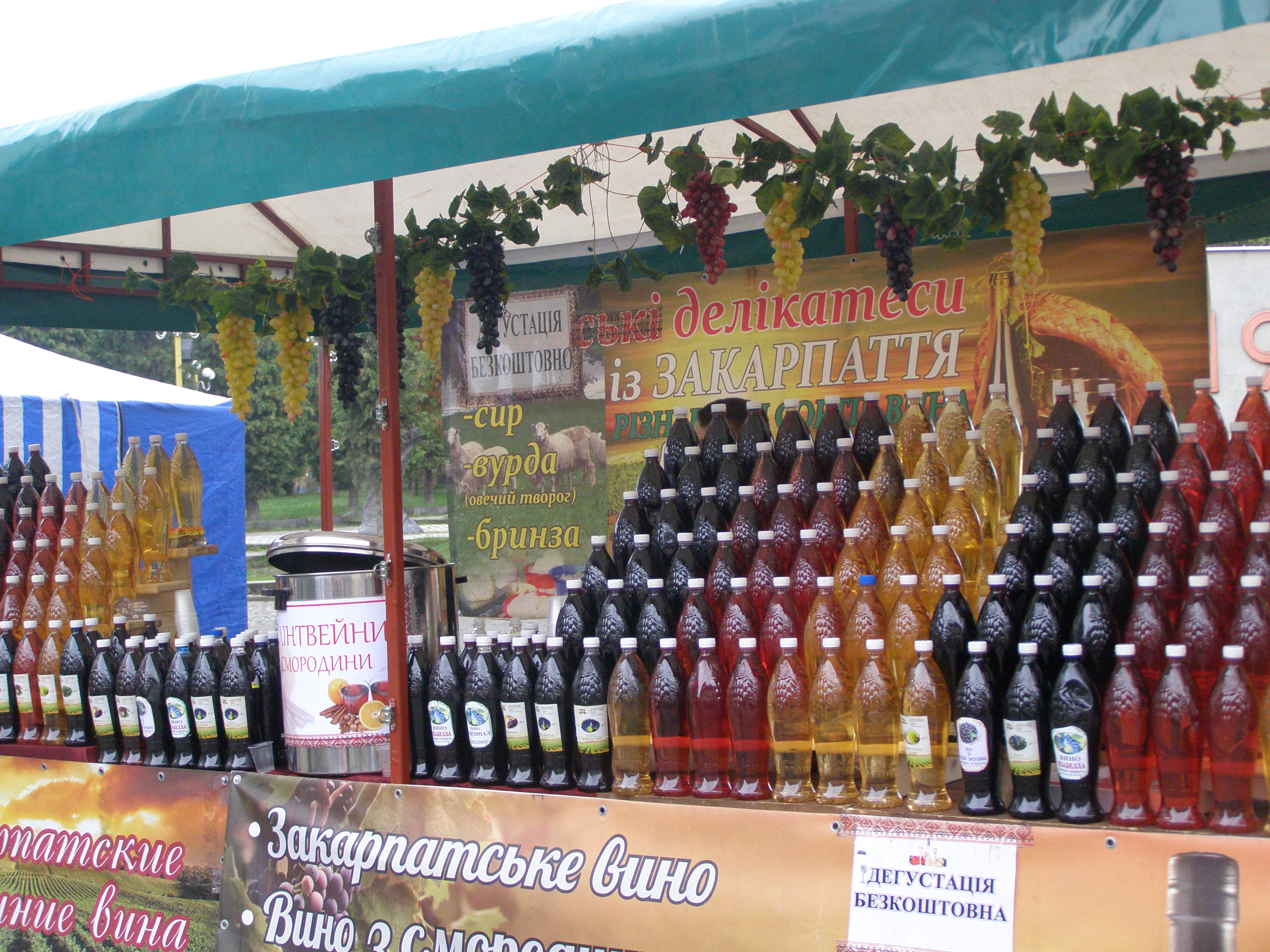 Винороби та пасічники з усієї України зібралися на фестивалі "Срібні джерела" у Хусті (ФОТО)