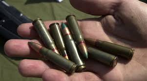 Жителя Іршавщини засудили за зберігання понад 100 патронів до вогнепальної зброї