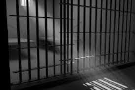 Пакистанцю-організатору переправлення нелегалів через кордон на Закарпатті загрожує до 7 років тюрми