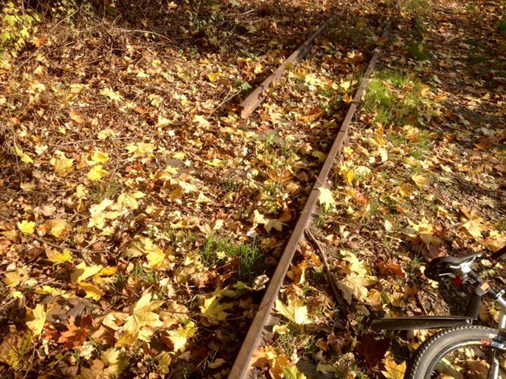 В Ужгороді проводиться розслідування за фактом викрадення рейок дитячої залізниці (ВІДЕО)