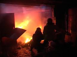 У Петрові на Виноградівщині згорів гараж разом із "Ауді"