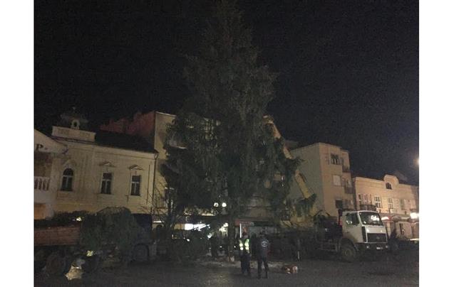 У Мукачеві встановили 20-метрову новорічну ялинку (ФОТО)