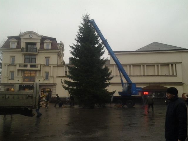 В Ужгороді з дня на день візьмуться за прикрашання 14-метрової головної новорічної ялинки  міста (ВІДЕО)