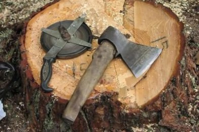 На Рахівщині розпочато кримінальне провадження за незаконну порубку лісу на суму понад 100 тис грн