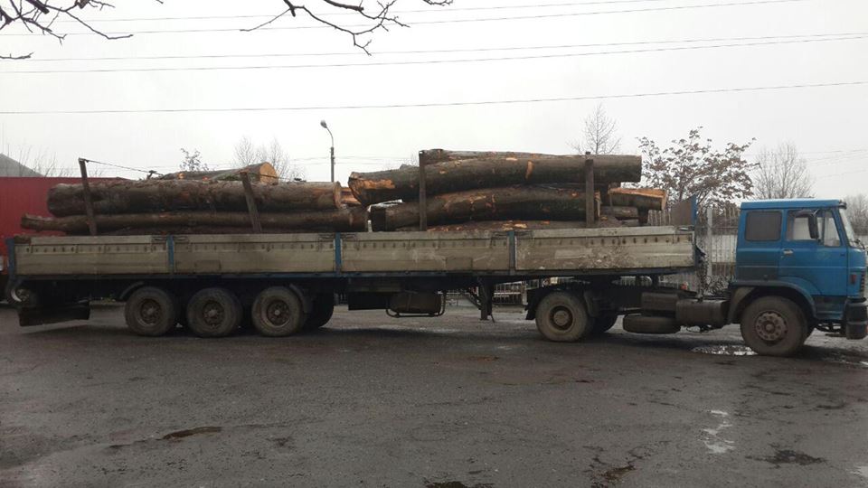 На Закарпатті патрульні поліцейські затримали вантажівку з лісом, оформленим як дрова (ФОТО)