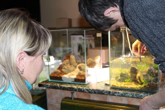 У неділю в Ужгороді відкривається перша на Закарпатті виставка-конкурс мініатюрних акваріумів (ФОТО)