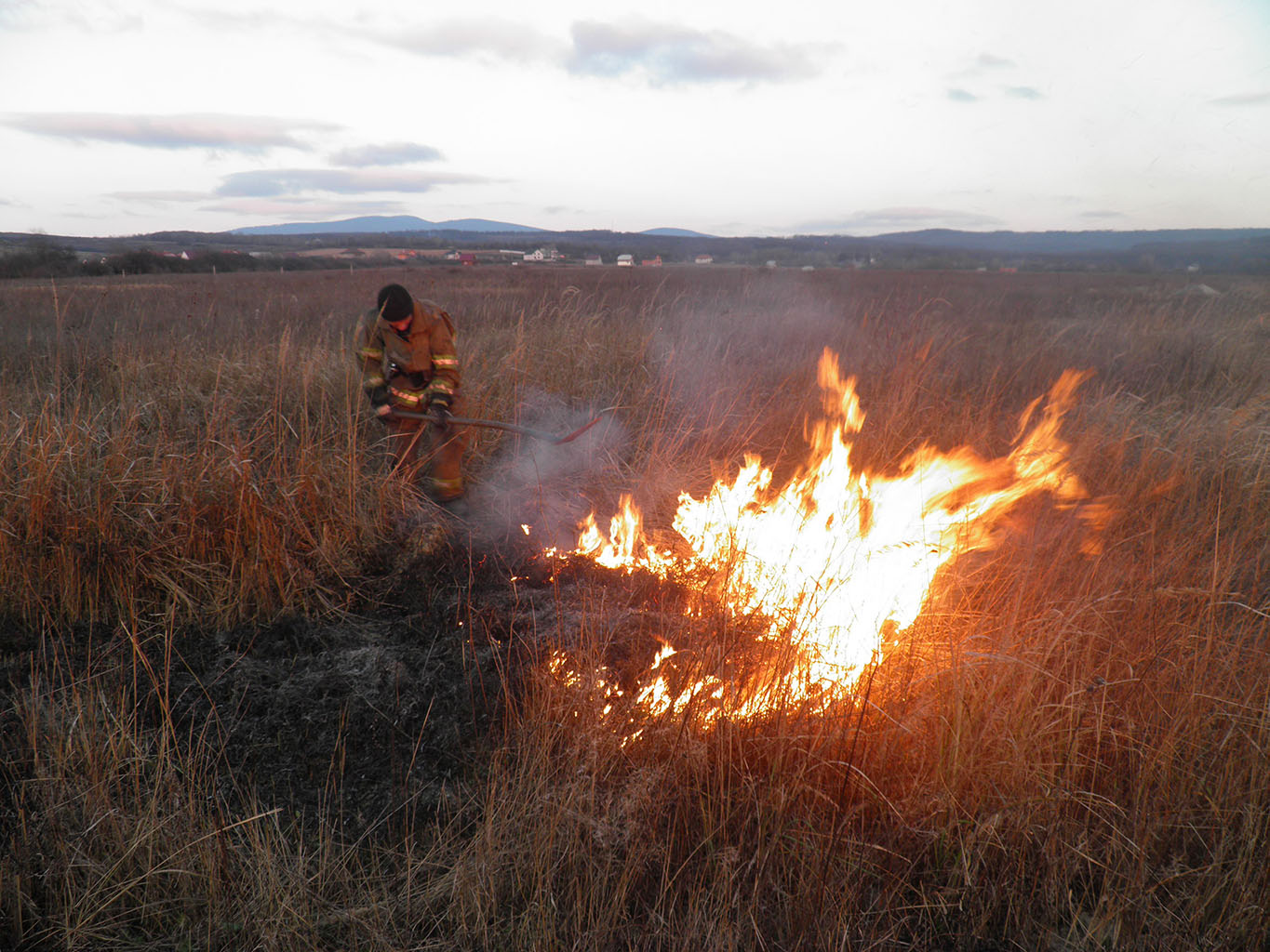 З початку року на Закарпатті зафіксовано вже 180 пожеж сухої трави та сухостою (ФОТО)