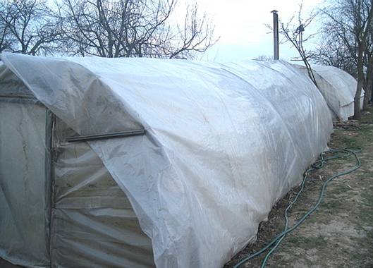 На Мукачівщині підліток вкрав у сусіда плівку для теплиць, щоб облаштувати парники у себе вдома (ФОТО)