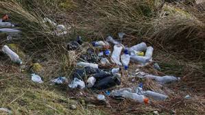 На Закарпатті укріплюватимуть береги річок та утилізовуватимуть сміття за понад 1 млн грн
