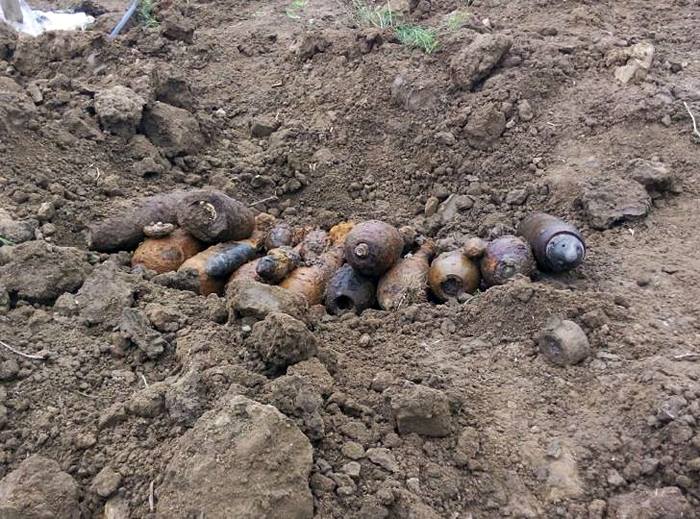За два дні на Закарпатті знешкоджено 35 боєприпасів, що їх краяни познаходили, збираючи гриби 