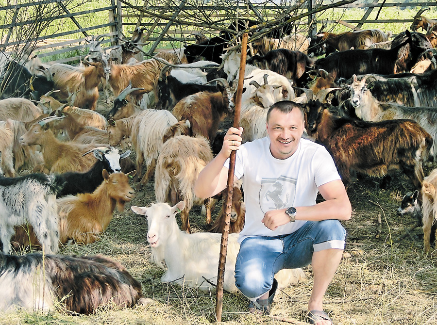 Закарпатський фермер за півроку створив маточне стадо "Благородних кіз" із 200 голів 