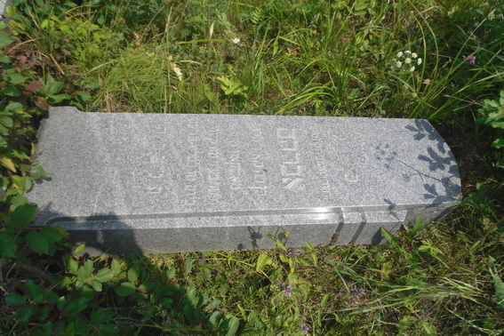 В Ужгороді на єврейському кладовищі невідомі пошкодили 19 надгробків (ФОТО)