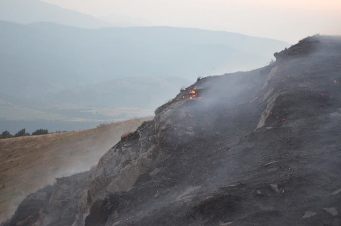У Карпатах на Воловеччині розповсюдження пожежі зупинили за 50 метрів від лісового масиву (ФОТО)