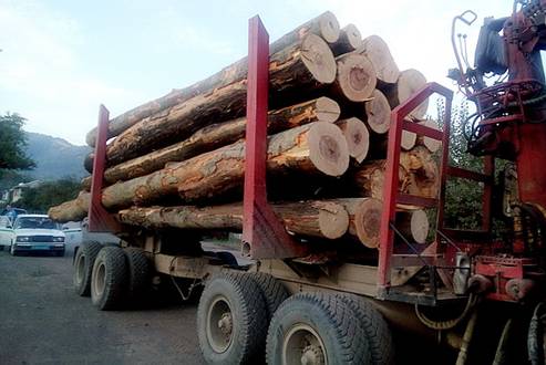 За одну добу на Тячівщині виявили два факти незаконного перевезення деревини (ФОТО)