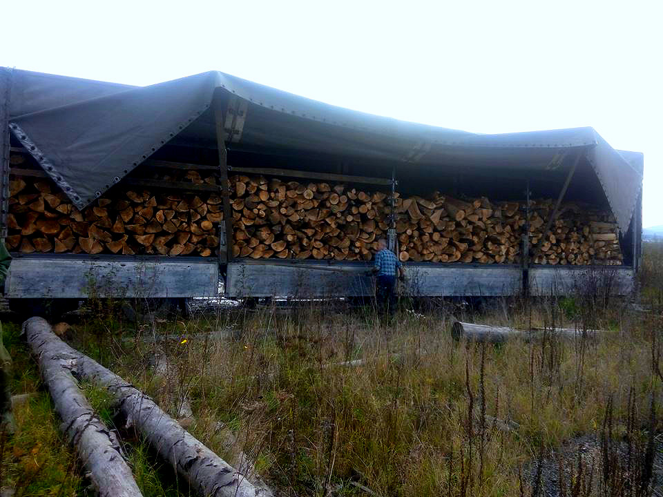На Великоберезнянщині спинили "Мерседес" із причіпом, завантеженим "незаконними" однометровими дровами (ФОТО)