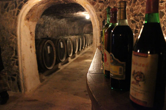 На Закарпатті зареєстровано найбільше в Україні приватних виноробів