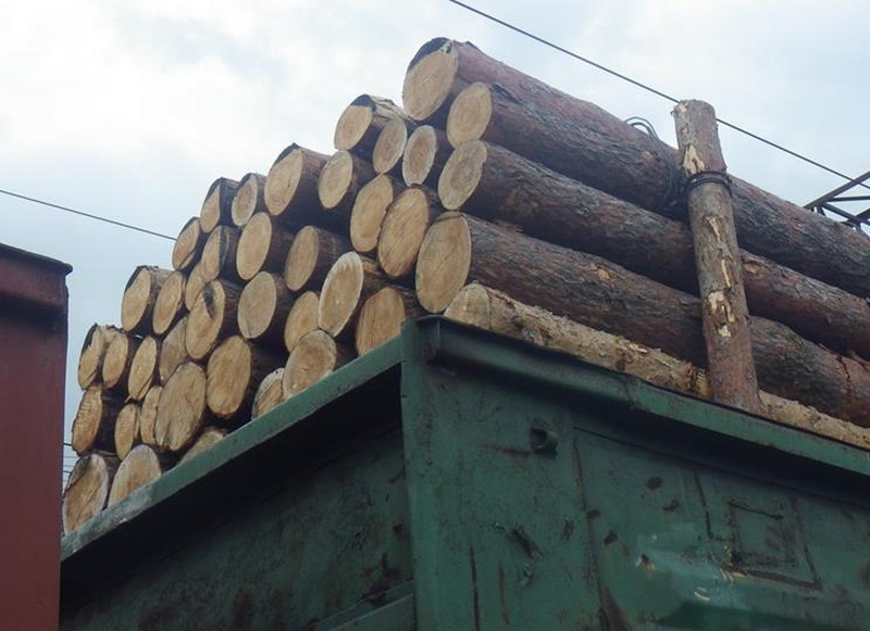 На Тячівщині затримали вантажівку, завантажену 40 кубометрами хвойної деревини 