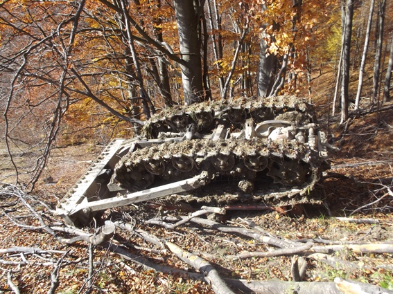 На Воловеччині унаслідок зсуву ґрунту під час заготівлі дров перекинувся трактор, загинув 39-річний водій (ФОТО) 